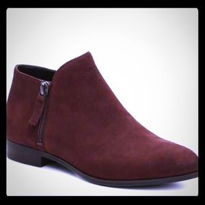 Franco Sarto. Kingston bootie. Cute!😘